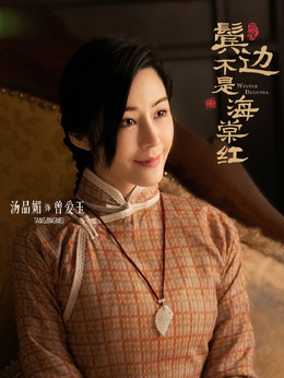 鬓边不是海棠红_剧情家
