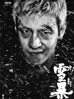 雪暴_剧情家