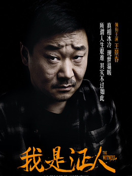 我是证人_剧情家
