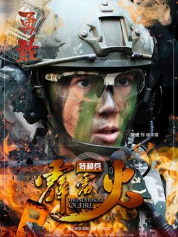 特种兵之霹雳火_剧情家
