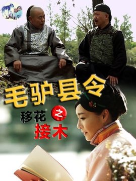 毛驴县令之移花接木_剧情家
