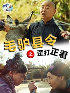 毛驴县令之歪打正着_剧情家