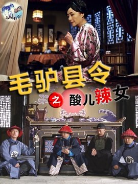 毛驴县令之酸儿辣女_剧情家