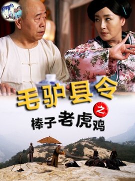 毛驴县令之棒子老虎鸡_剧情家