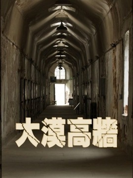 大漠高墙_剧情家