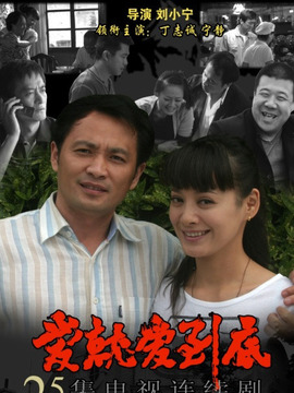 爱就爱到底_剧情家