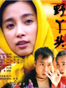 野丫头_剧情家