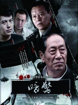暗警_剧情家